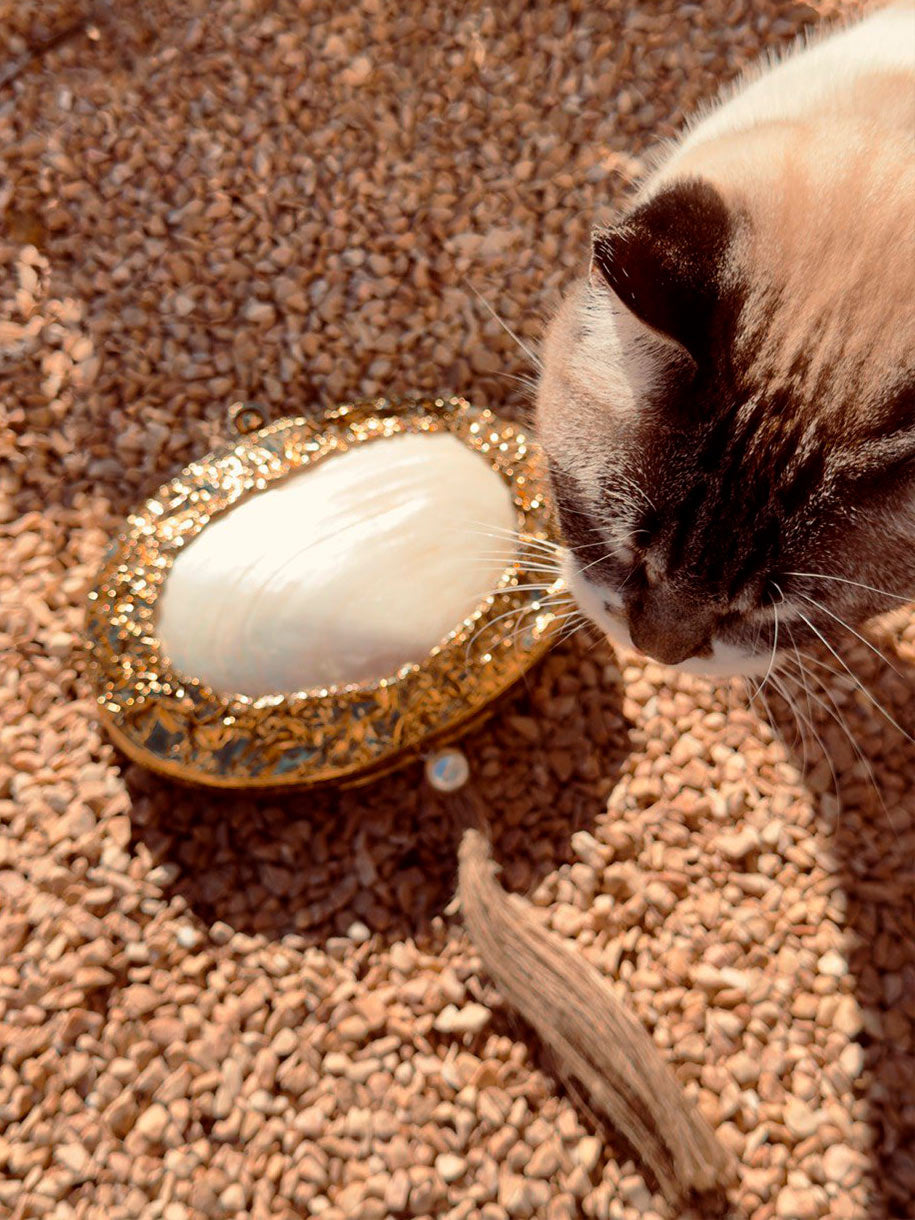 Bolso de fiesta, dorado en forma de concha